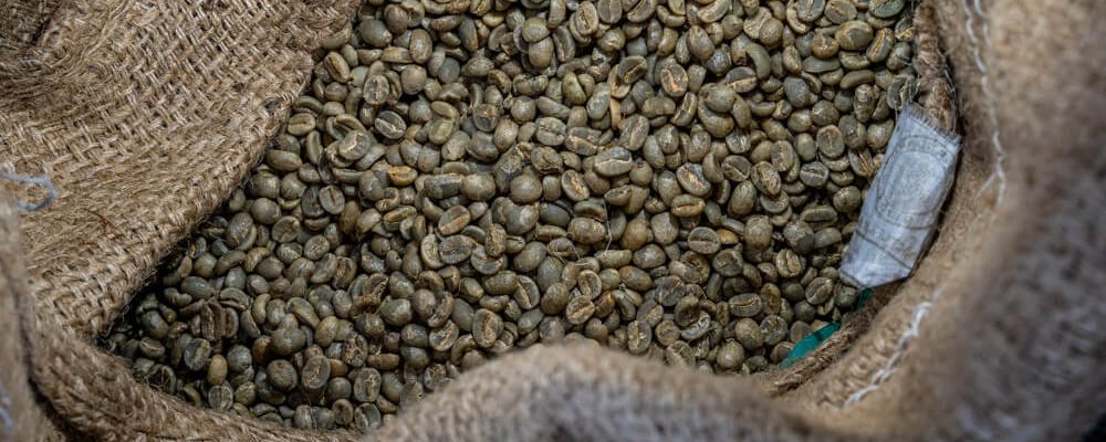 Amma trading Coffee beans