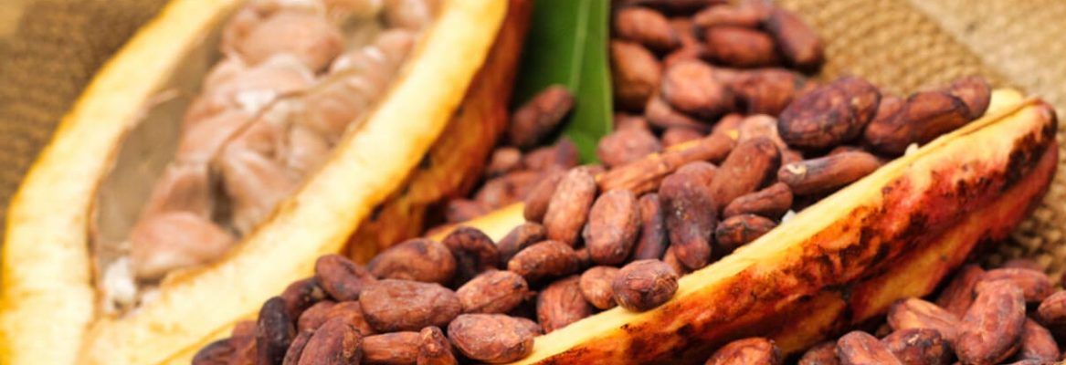 Cocoa Beans